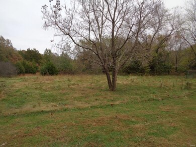 15001 State Route Y, Rolla, MO 65401 - photo 5