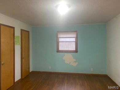 427 State Highway Af, Dexter, MO 63841 - photo 6