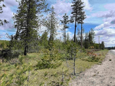 NKA - parcel #2 U S Highway 2, Newport, WA 99156 - photo 3