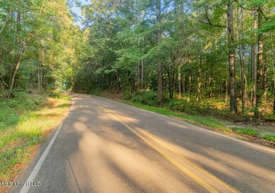 1510 Sulphur Springs Rd, Camden, MS 39045 - photo 7