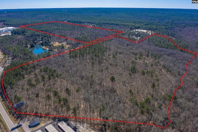 442 Savany Hunt Creek Rd, Gaston, SC 29053 - photo 5