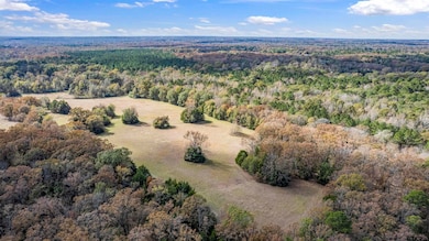 TBD Cr 3170, Winnsboro, TX 75494 - photo 4