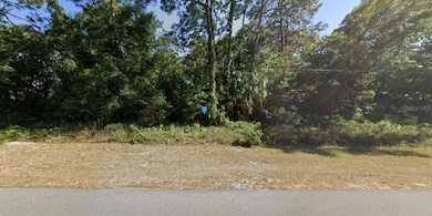 7689 W Briarpatch St, Homosassa, FL 34446 - photo 2