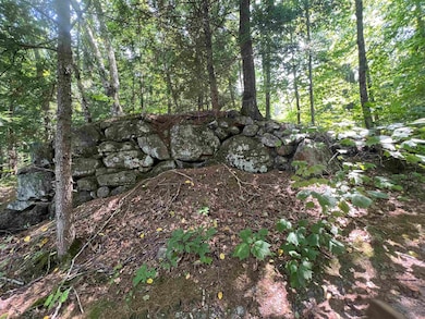 Map 6, Lot 38 Chadwick Hill Rd, Webster, NH 03303 - photo 3