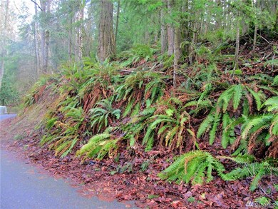 43 Brays Way, Bellingham, WA 98226 - photo 5