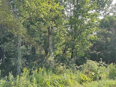 Located along the Catamount Trail