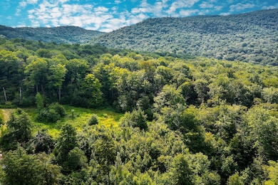 Lot 3 Route 11 30, Winhall, VT 05340 - photo 4