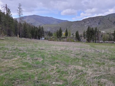 0 Black Pine Rd unit 1925756, Methow, WA 98834 - photo 2