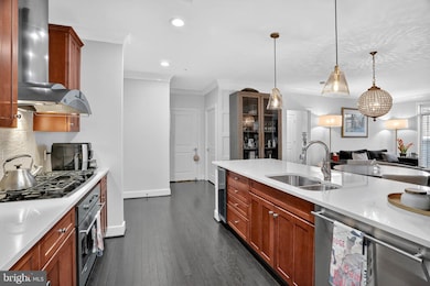 Acton's Landing Condominiums unit 101, Annapolis, MD 21401 - photo 6