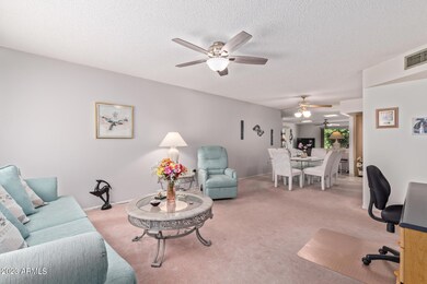 17430 N Appaloosa Dr, Sun City, AZ 85373 - photo 3