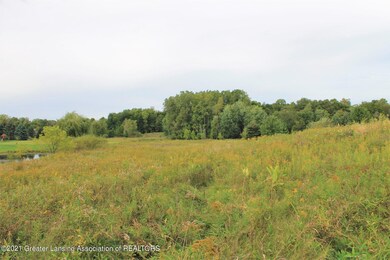 IMG_9727 (2)