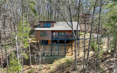Additional View