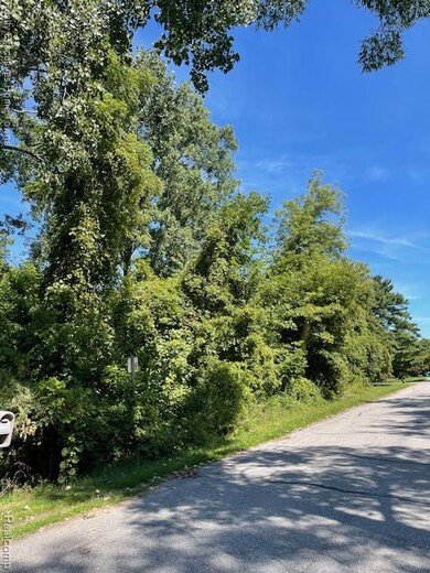 00 Campau Ave, Port Huron Township, MI 48060 - photo 6