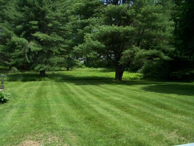 Beautiful Back Yard