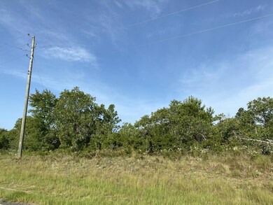 Subject Property from Hortman Mill