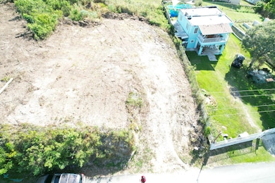 Carr 648 Bo Tierras Nuevas Saliente unit Lote 9-E, Manatí, PR 00674 - photo 5