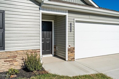 1038 Persimmon Hollow, Greeneville, TN 37745 - photo 3