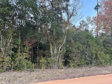 11,12,13 Paradise Cir, Donalsonville, GA 39845 - photo 6