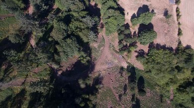 4535 Lobo Ln, Silverton, OR 97381 - photo 6