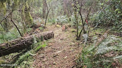 Lots14 &15 Birch St, Cannon Beach, OR 97110 - photo 7