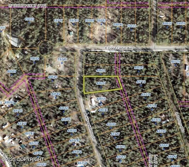 48617 S Silver Salmon Dr, Willow, AK 99688 - photo 4