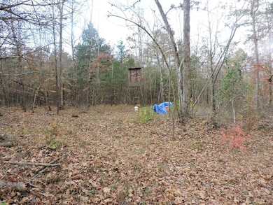 OFF Cold Spring Rd, Waldron, AR 72958 - photo 5