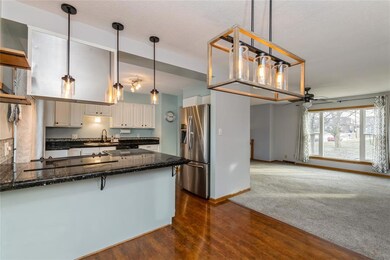 6641 Holcomb Ave, Des Moines, IA 50322 - photo 5