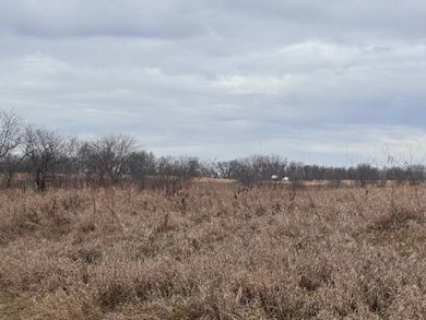 0 NE Shinn Ln, Lathrop Township, MO 64465 - photo 3