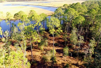 340 Jay Way, Carrabelle, FL 32322 - photo 6