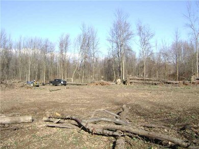 Land Still cleaning out this area!