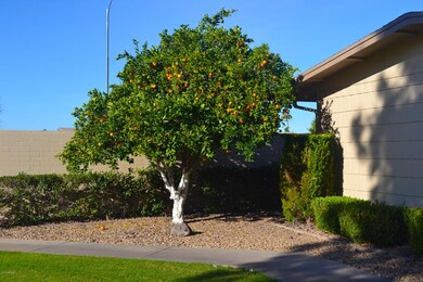 17830 N 99th Dr unit 41, Sun City, AZ 85373 - photo 2