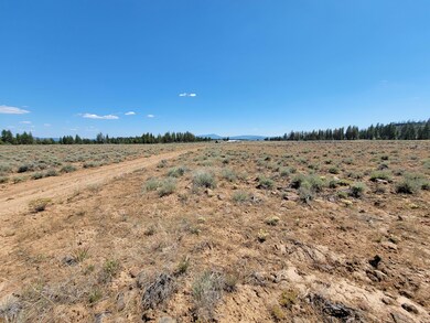 Mt Trout Ln, Sprague River, OR 97624 - photo 4