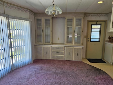 30 Stag Run Ct unit 11, Safety Harbor, FL 34695 - photo 6