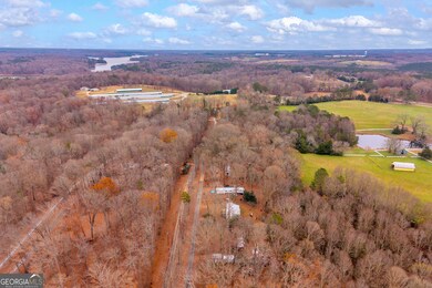 388 Ridgeview Dr, Lavonia, GA 30553 - photo 6