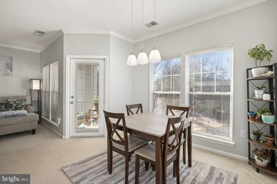 1519 N Point Dr unit 304, Reston, VA 20194 - photo 5
