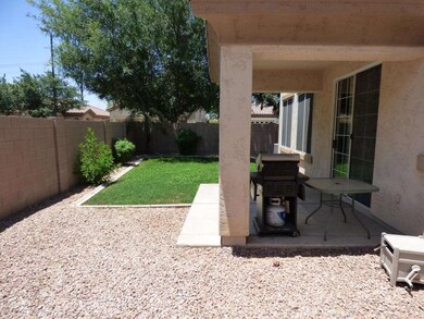 BACKYARD_2016-06-06 12.09.40