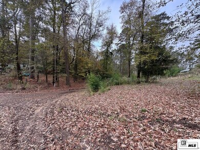 595 Swiftwater Ln unit 116 Spruce LANE, Farmerville, LA 71241 - photo 2