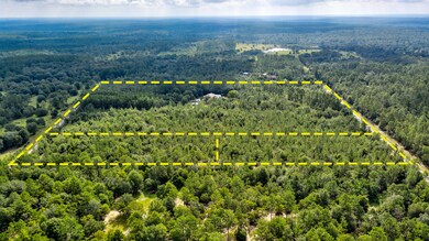Tick Haven Wolf Track