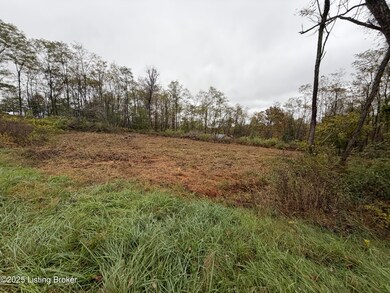 28 Freesia Ct, Brandenburg, KY 40108 - photo 4