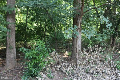 13017 Silver Maple Ct, Bowie, MD 20715 - photo 3