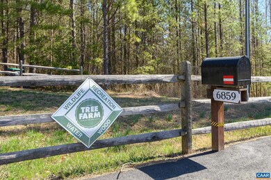 6859 Celt Rd, Stanardsville, VA 22973 - photo 4