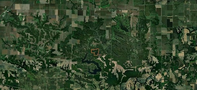 1667 Sherwood Rd, Oak Run, IL 61428 - photo 3