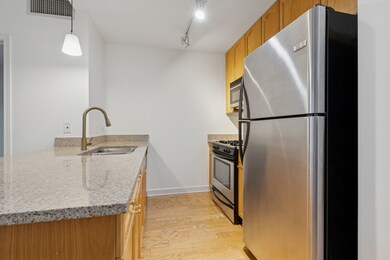 Michigan 1400 unit 1708, Chicago, IL 60605 - photo 5
