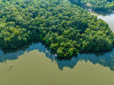 11.48 +/- ACRES Grayson Pointe Dr, Buckhead, GA 30625 - photo 4