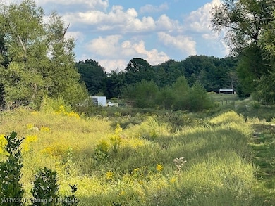1250 Elder Branch Rd, Hackett, AR 72937 - photo 2