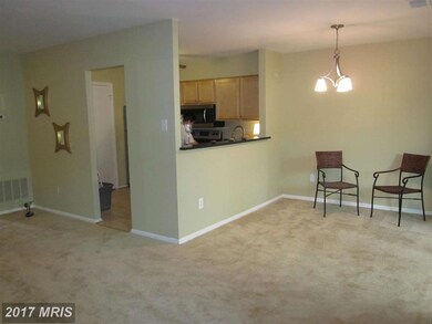3903 El Camino Place unit 3903, Alexandria, VA 22309 - photo 6