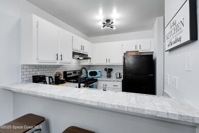 3165 South St unit 203, Titusville, FL 32780 - photo 7