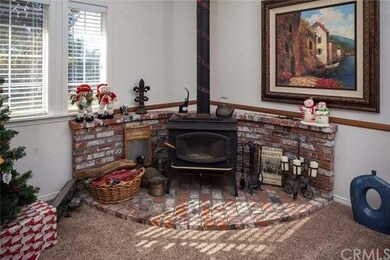 Charming Wood Burning Stove!