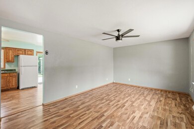 13337 Sherman St, Cedar Lake, IN 46303 - photo 5