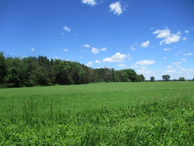 6822 Oneka Lake Blvd N, Hugo, MN 55038 - photo 4